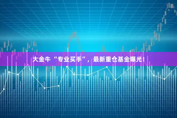 大金牛 “专业买手”，最新重仓基金曝光！